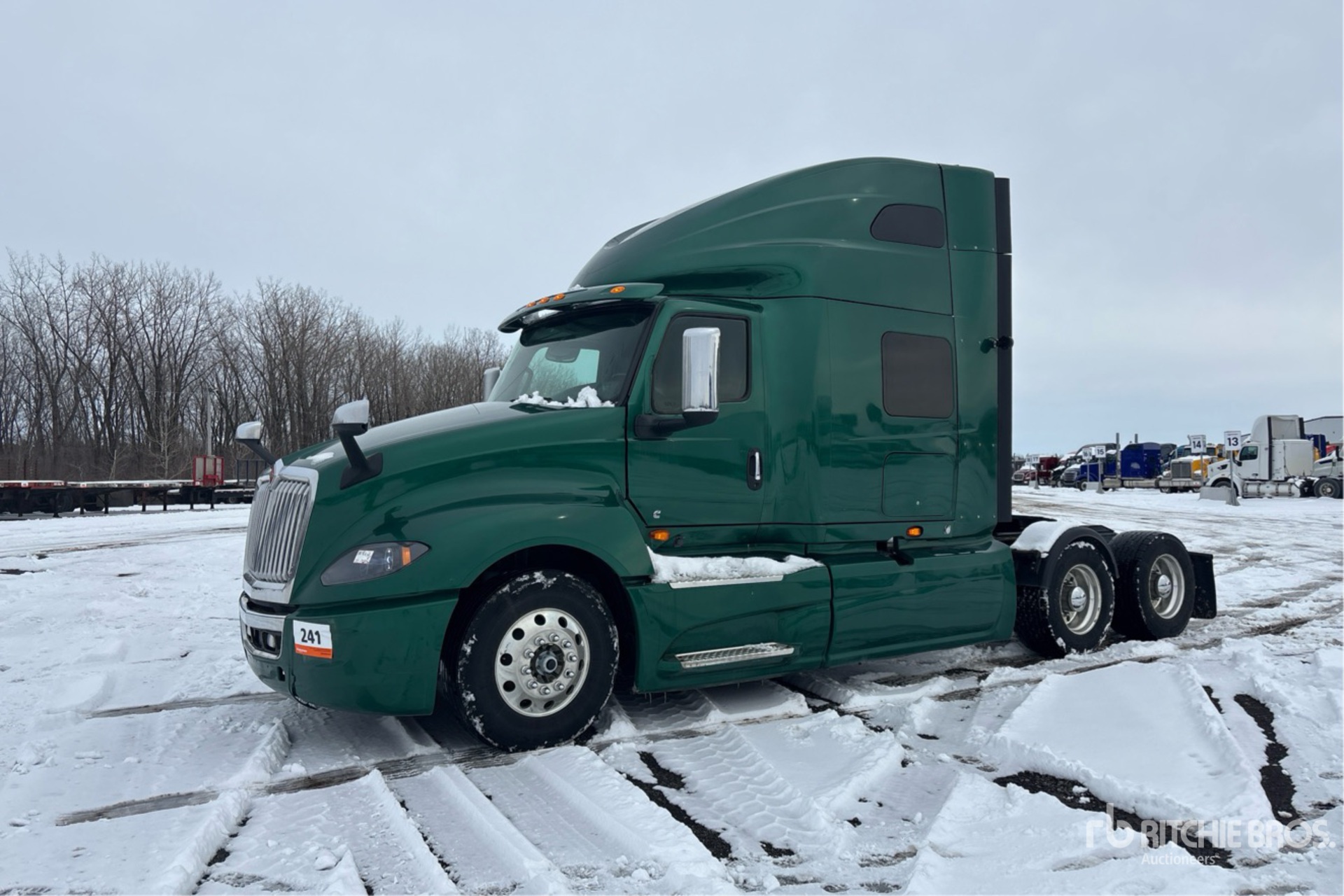 General Appearance with Spin