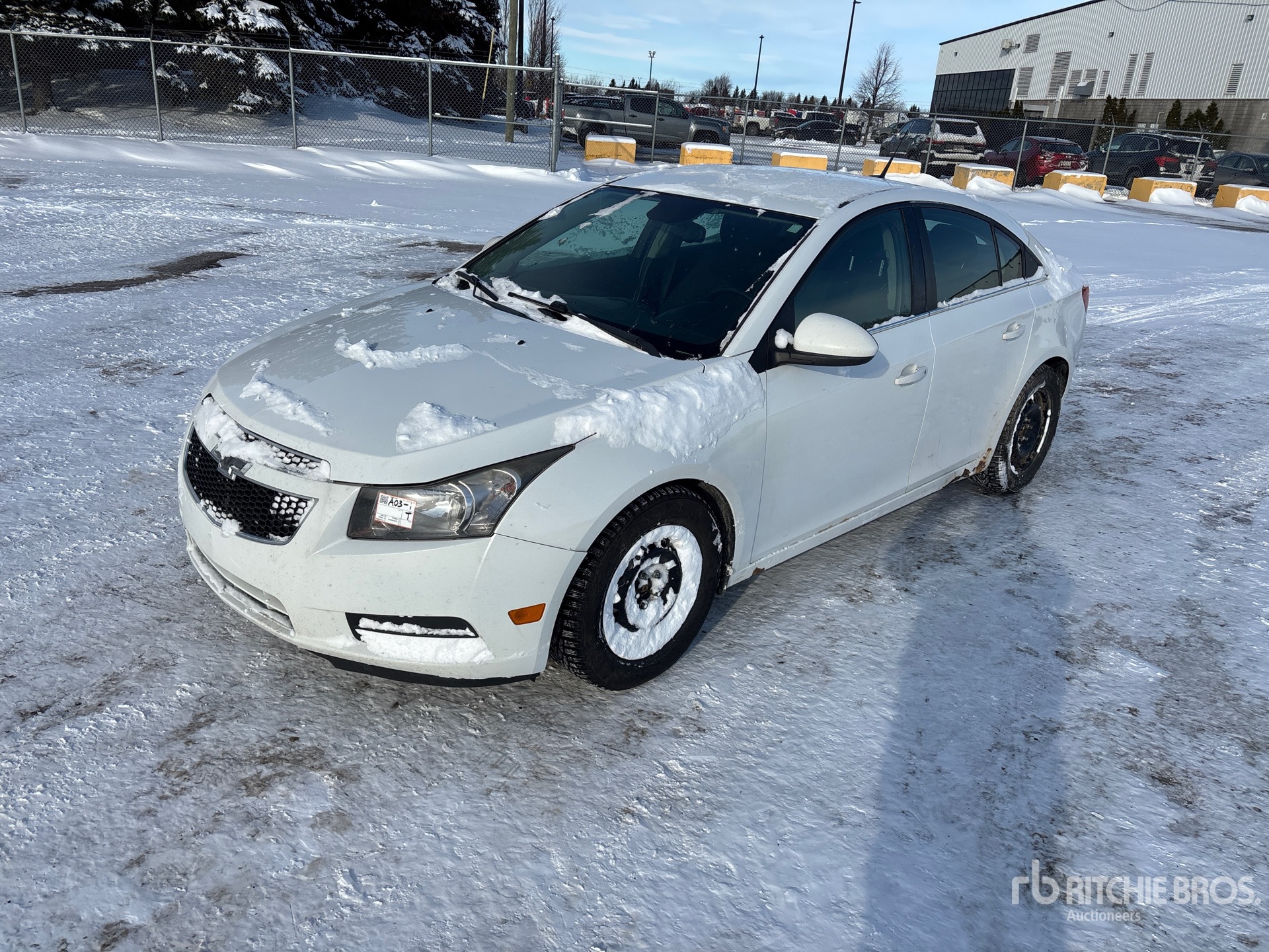 General Appearance with Spin