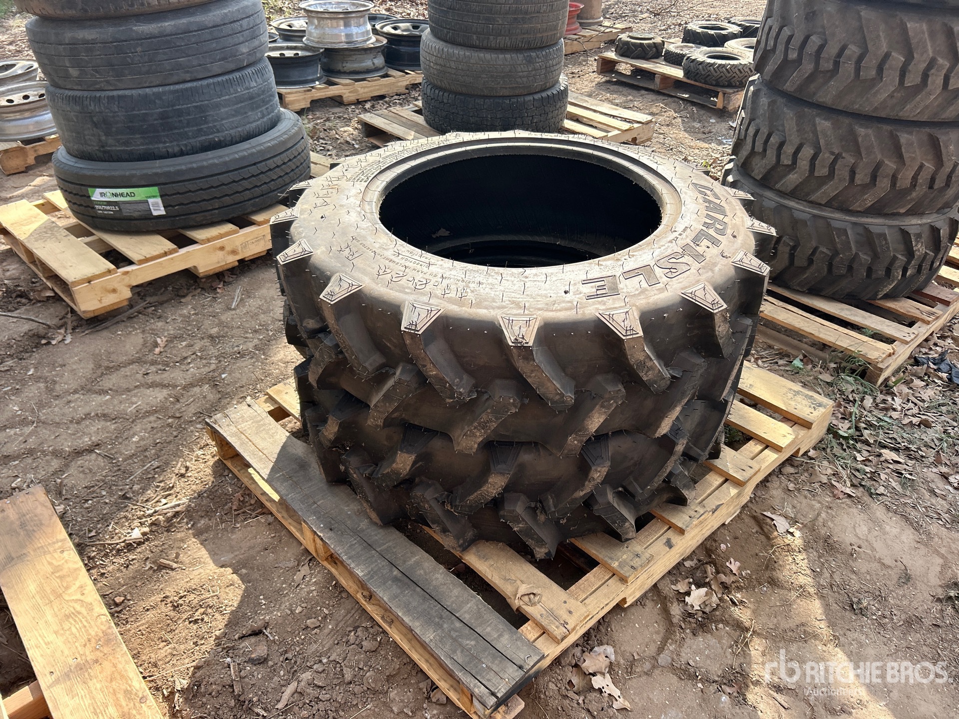 General Appearance with Foto, angolo anteriore sinistro