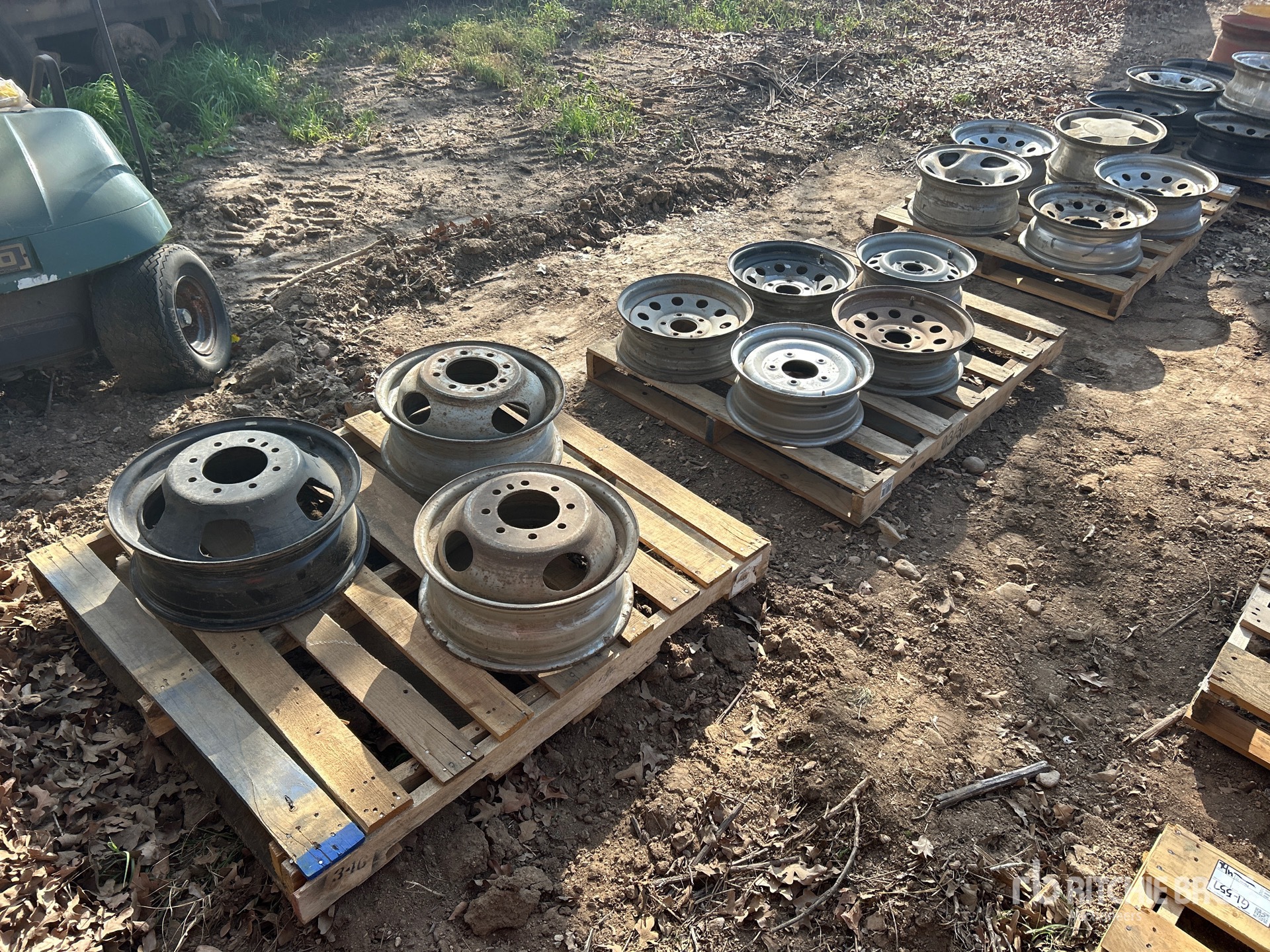 General Appearance with Foto, angolo anteriore sinistro