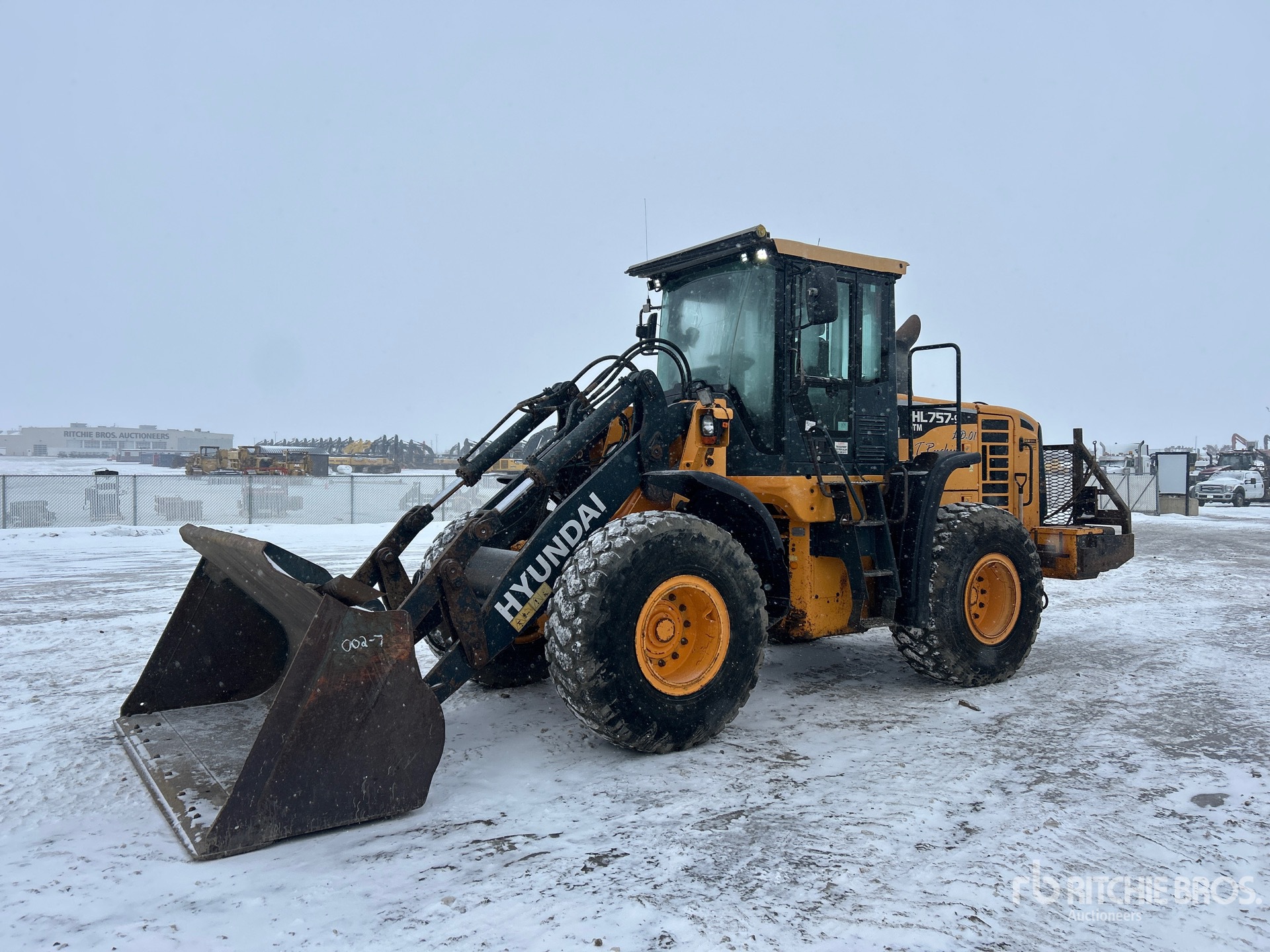General Appearance with Zdjęcie, lewy górny róg