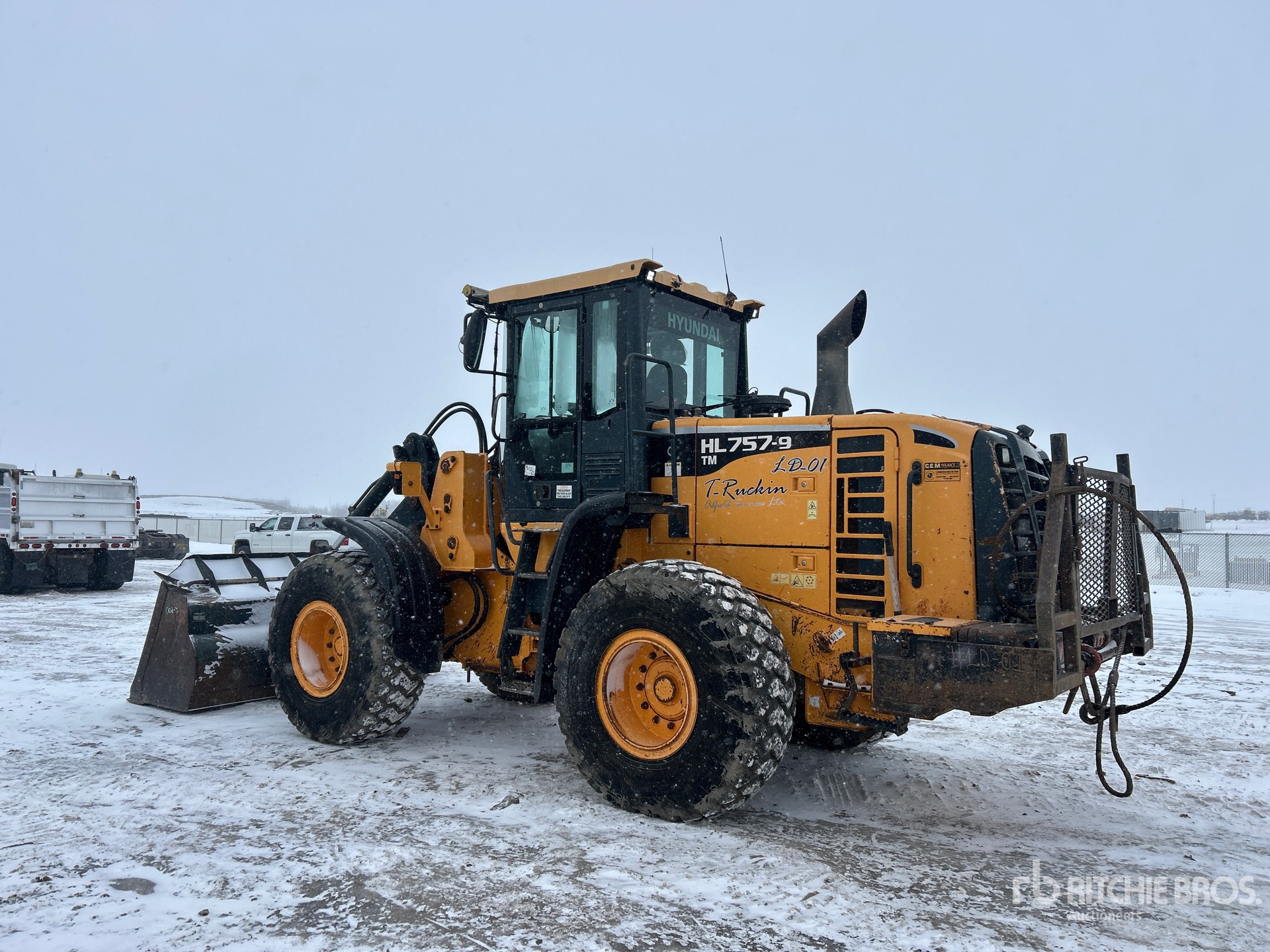 General Appearance with Zdjęcie, lewy dolny róg