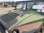 General Appearance with Paint