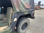 General Appearance with Paint