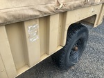 General Appearance with Paint