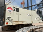 General Appearance with Paint