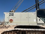 General Appearance with Paint