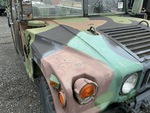 General Appearance with Paint