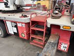 General Appearance with Steps/Ladders