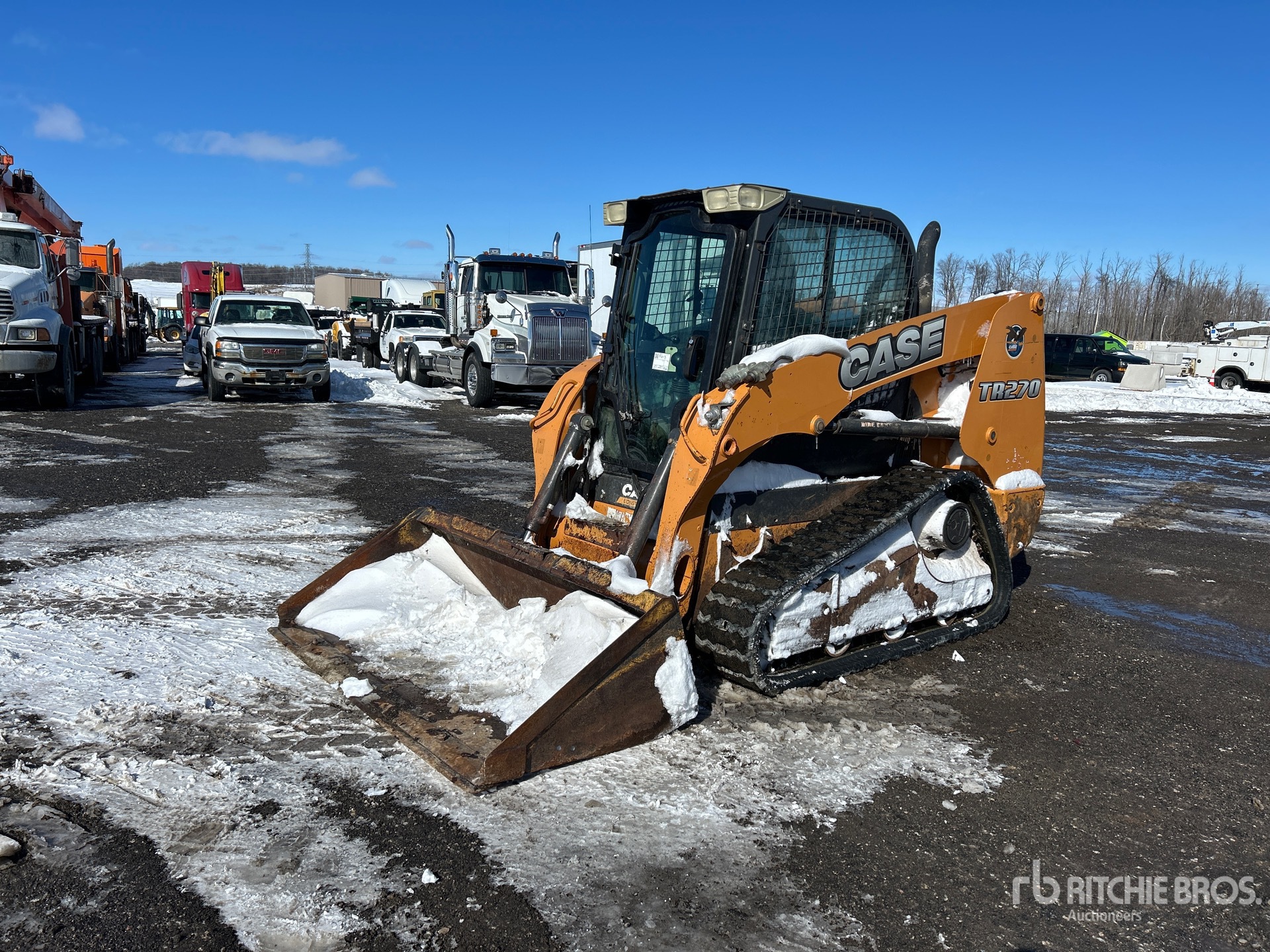 General Appearance with Spin