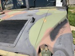 General Appearance with Paint