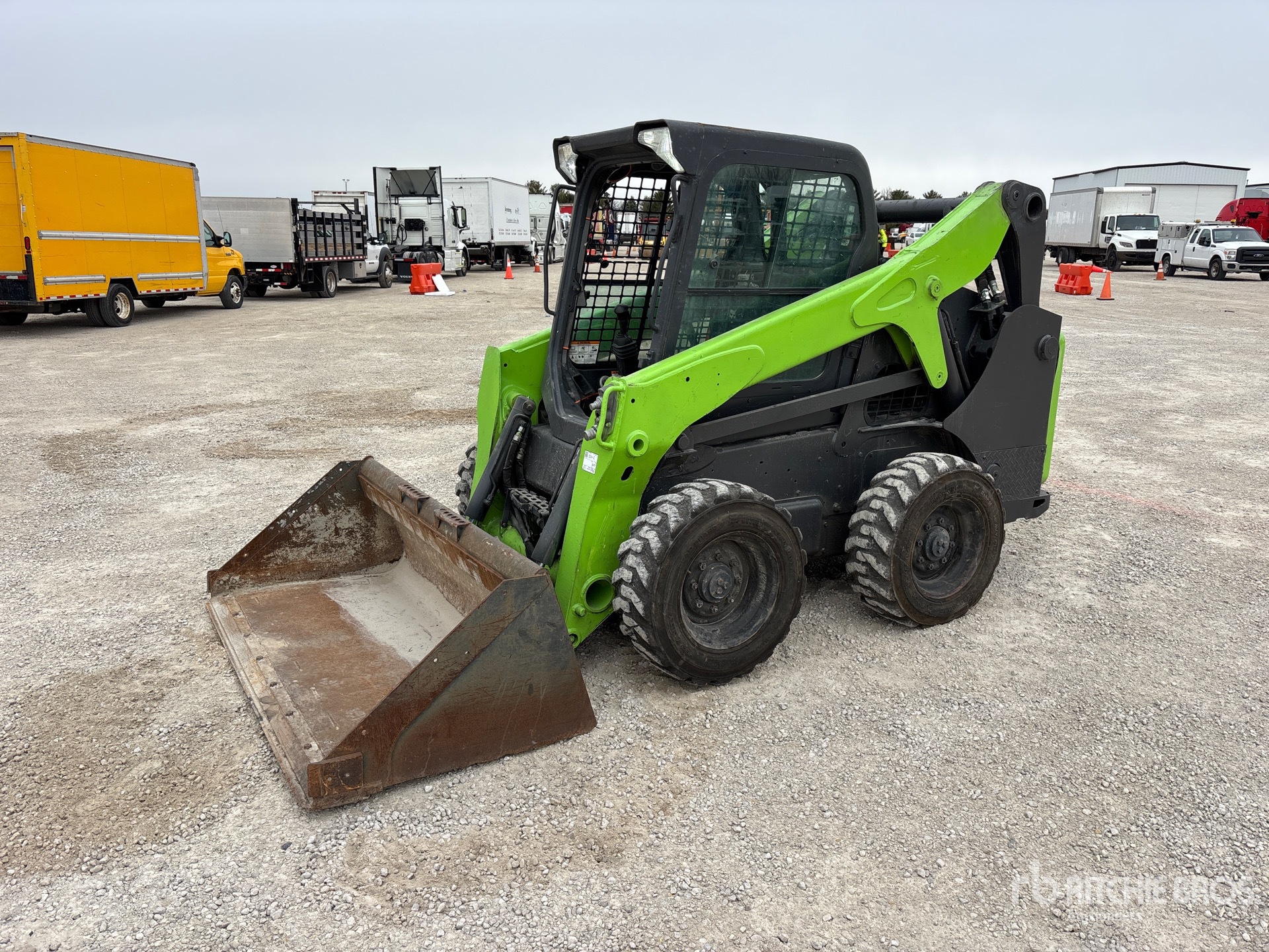 General Appearance with Spin