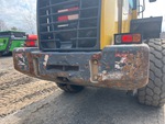 General Appearance with Paint