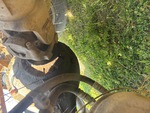 Underbody with Rear Drive Axle