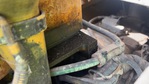 Engine with Oil Leaks
