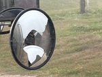 Cab with Mirrors