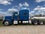 General Appearance with Paint