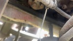 Engine with Oil Leaks