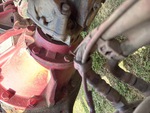 Underbody with Rear Drive Axle