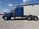 General Appearance with Paint