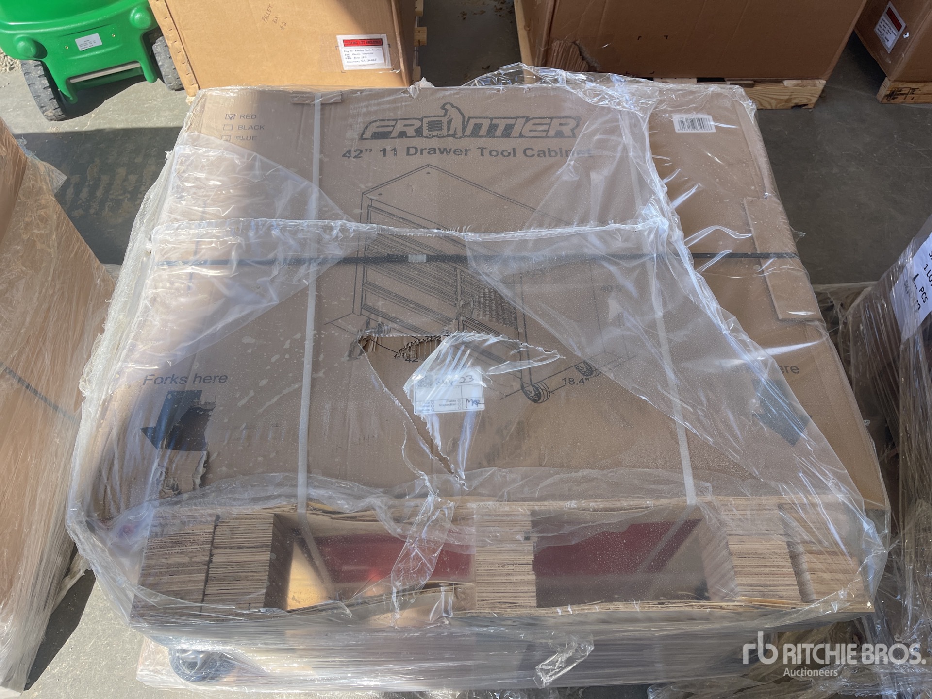 General Appearance with