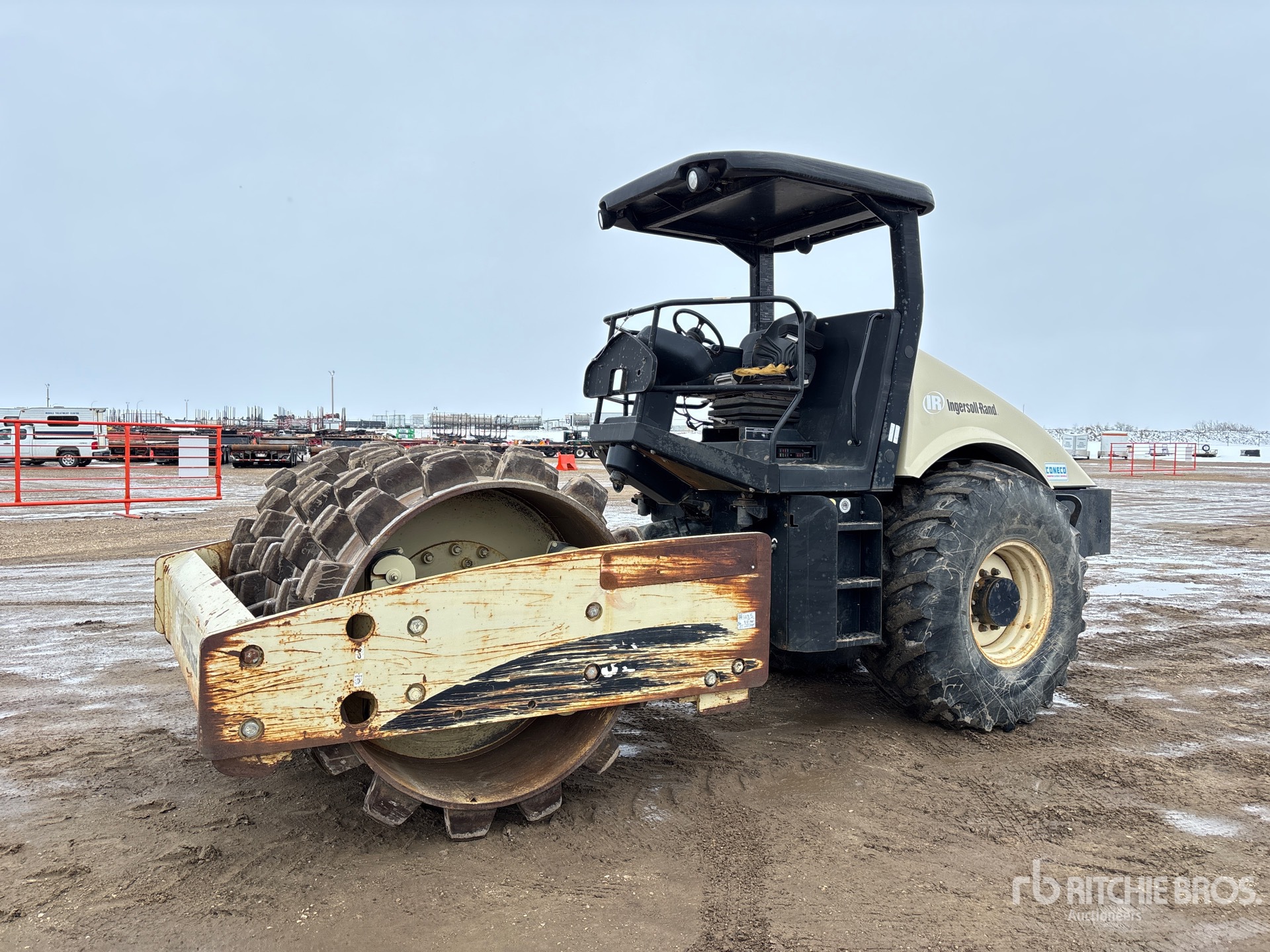 General Appearance with Spin