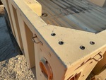 General Appearance with Paint