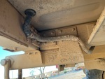 Chassis with Lights/Wiring Condition