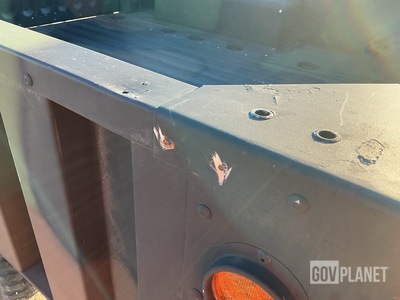 General Appearance with Paint