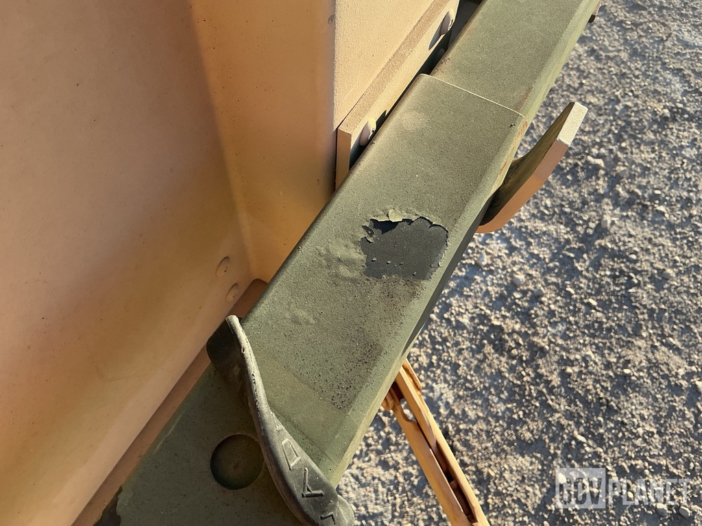 General Appearance with Paint