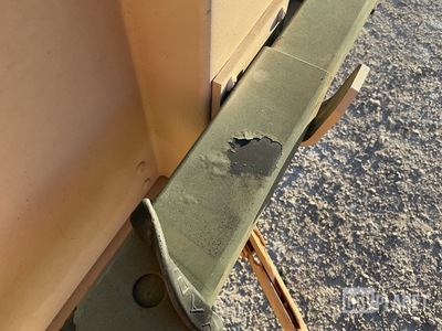 General Appearance with Paint