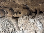 Undercarriage with Right Track Links