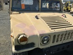 General Appearance with Paint
