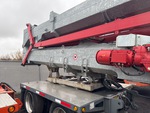 General Appearance with Paint