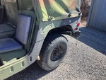 General Appearance with Paint