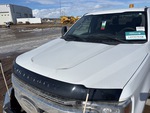 General Appearance with Paint