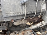 Engine with Exhaust System