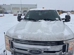 General Appearance with Paint