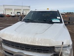General Appearance with Paint