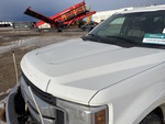 General Appearance with Paint