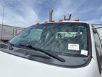 General Appearance with Glass
