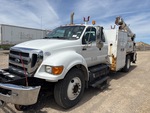 General Appearance with Paint
