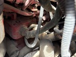Engine with Air Compressor