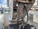Hydraulics with Hoses (Hydraulic)