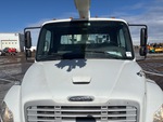 General Appearance with Paint