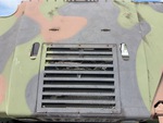 General Appearance with Paint