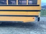 General Appearance with Paint