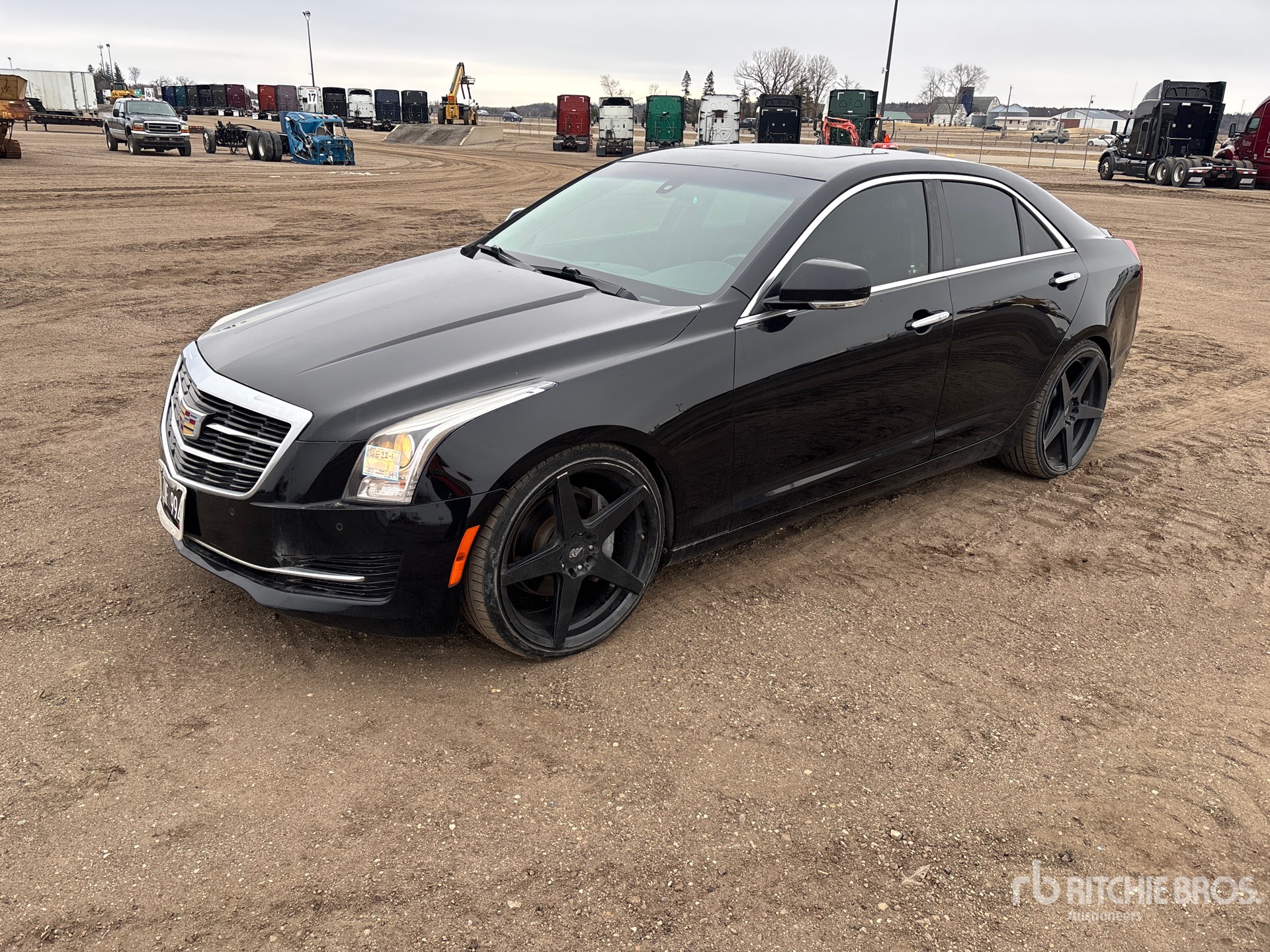 General Appearance with Spin