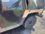 General Appearance with Paint
