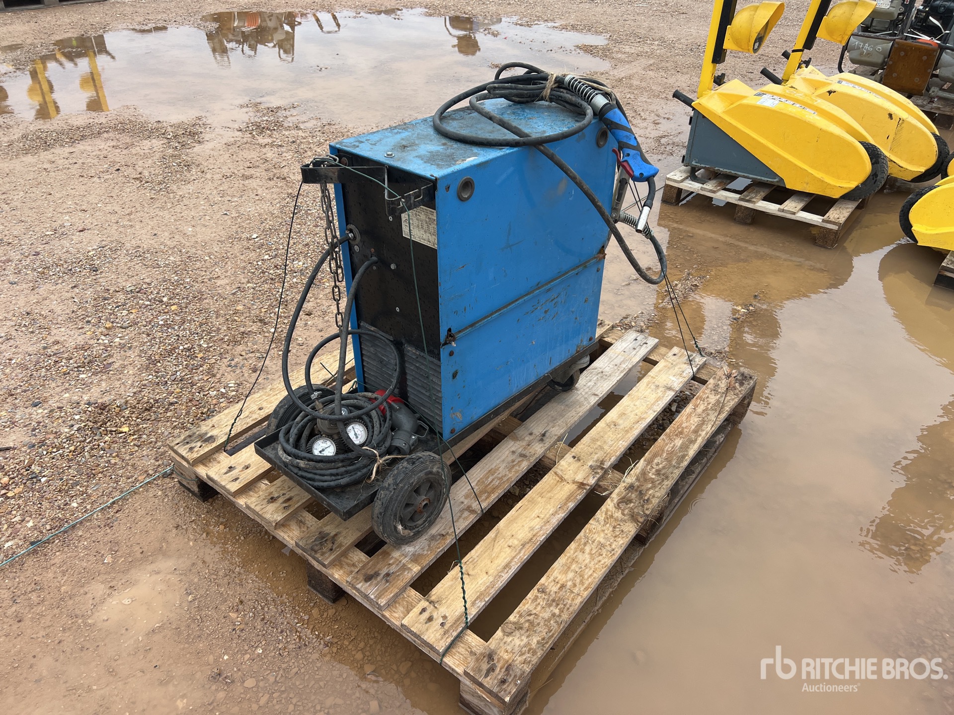 General Appearance with